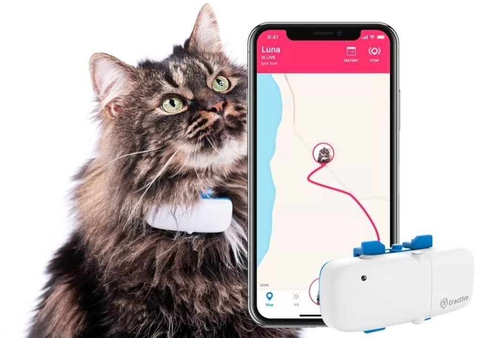 Localizador GPS Tractive para gatos