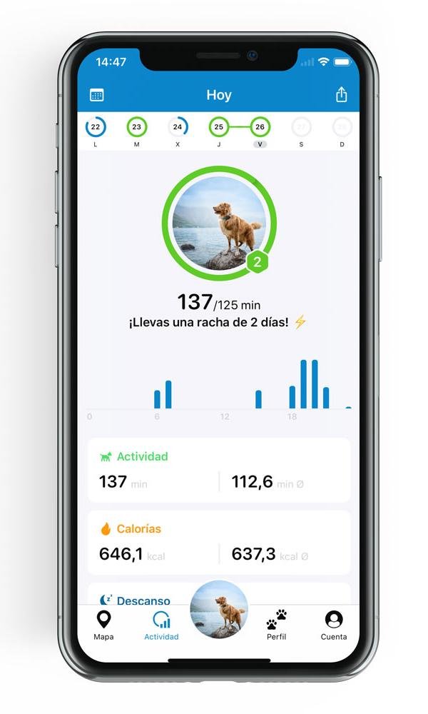Tractive App Seguimiento de Actividad
